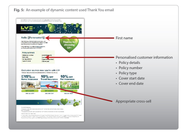 lv thank you email blog full